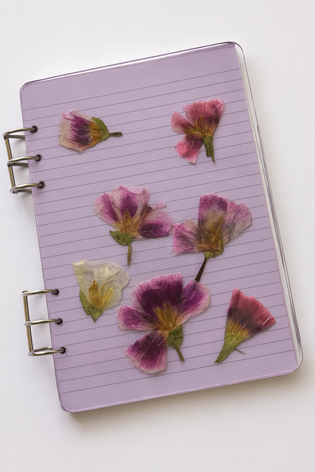 Notebook-Refillable